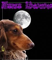 LDK Gypsy Caravan