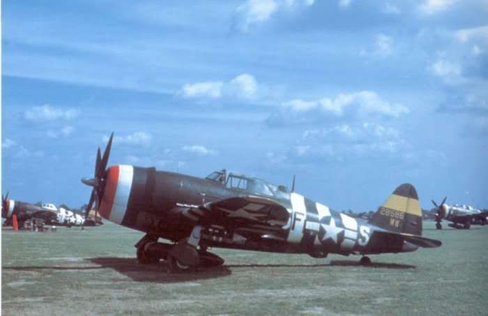 P-47D42-85865F-Sseenintheleftbackgr.jpg