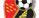 cium.png
