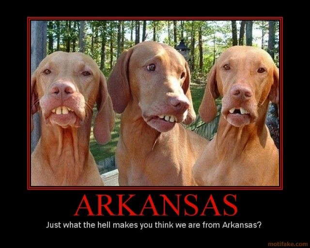 arkansas-dog-hillbilly-redneck-demotivational-poster-1242066863.jpg