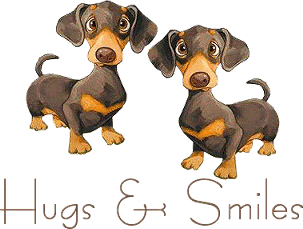 Dachshund Pictures, Images and Photos