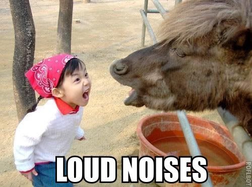 Forum Image: http://i152.photobucket.com/albums/s168/bhasayate/loudnoises.jpg