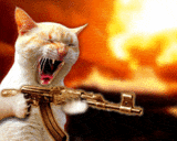 thCatMachineGun.gif