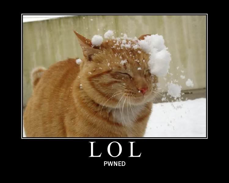 Pwnedcat.jpg