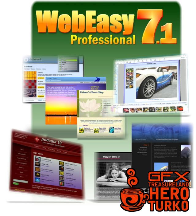  Avanquest Web Easy Professional v7.1