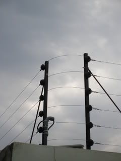 P1010003.jpg
