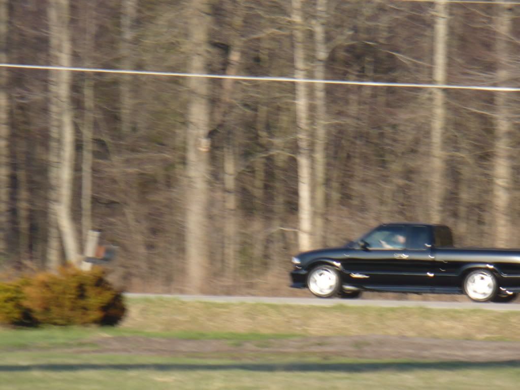 P1030196.jpg