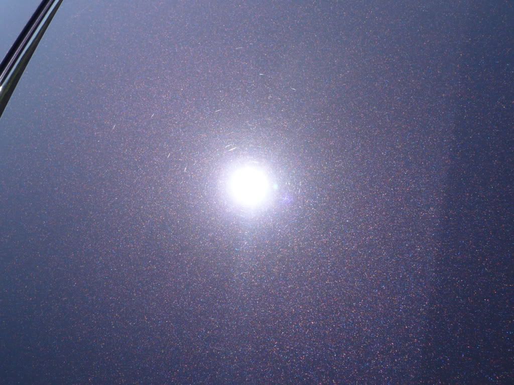 P1030306.jpg