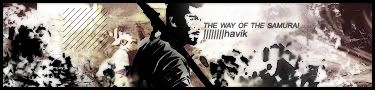 [Image: Samurai_havik.jpg]