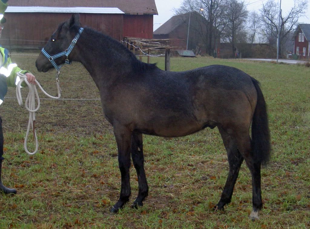 Blandat1025.jpg