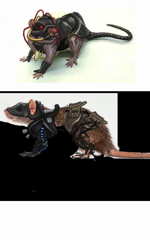 ratscout04.jpg