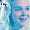 Lily1-1.jpg