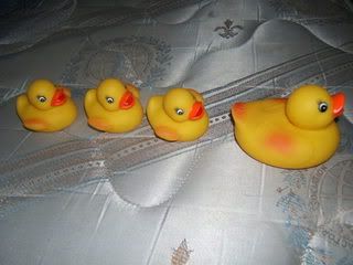 dollarama rubber ducks