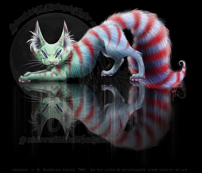 Clown Cat