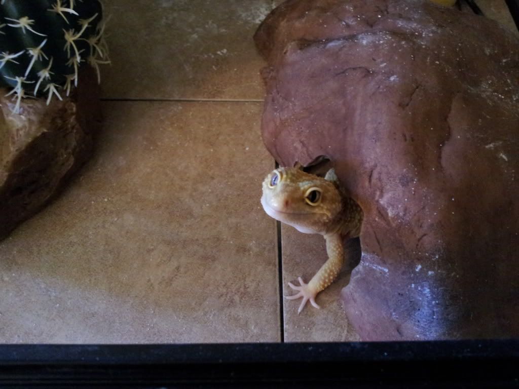 20130616_193413.jpg
