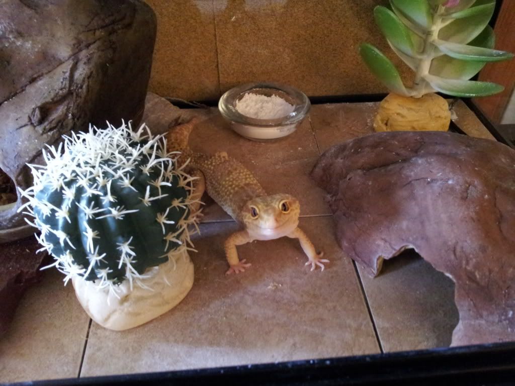 20130625_131226.jpg