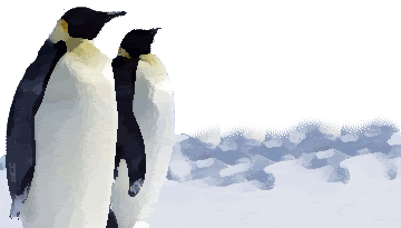 penguins.gif
