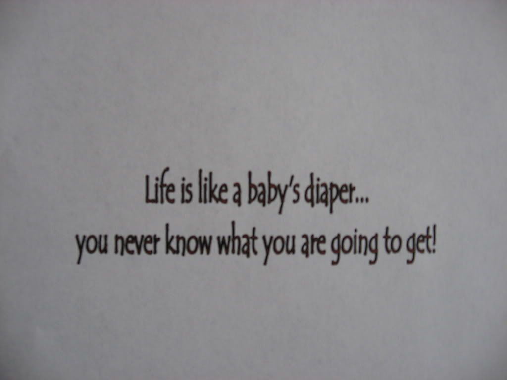 Life is like a baby's diaper... you never know what you are going to get