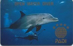 Open Water Diver Pictures, Images and Photos