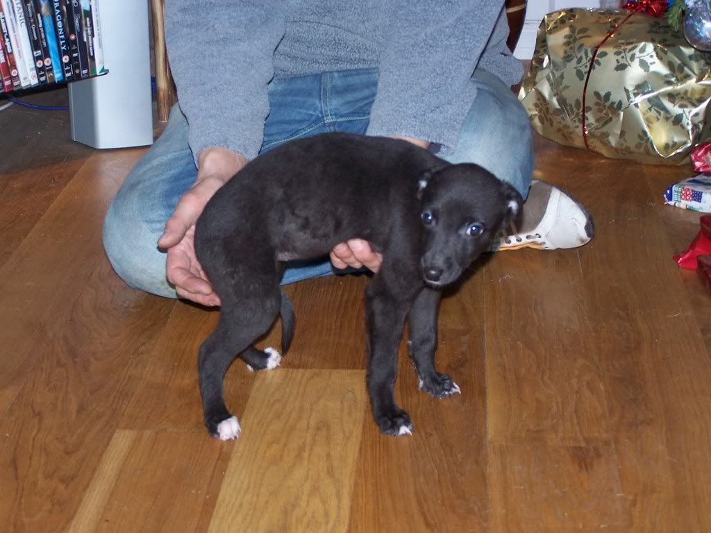 ALL2007PUPS020.jpg