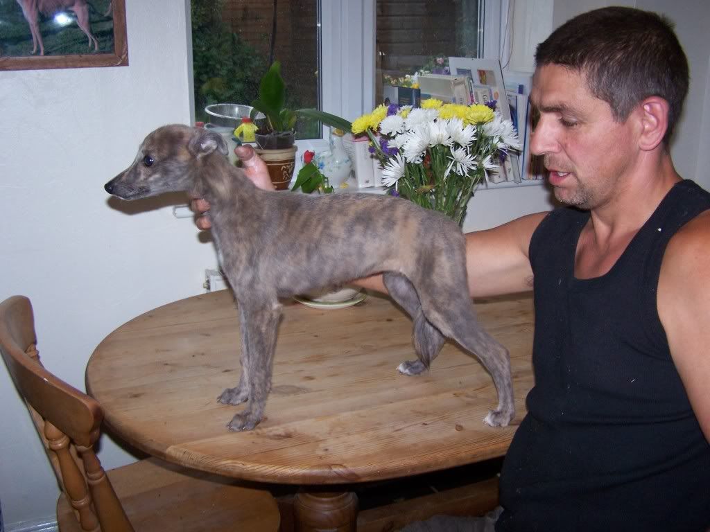 fewpicsofpups001.jpg
