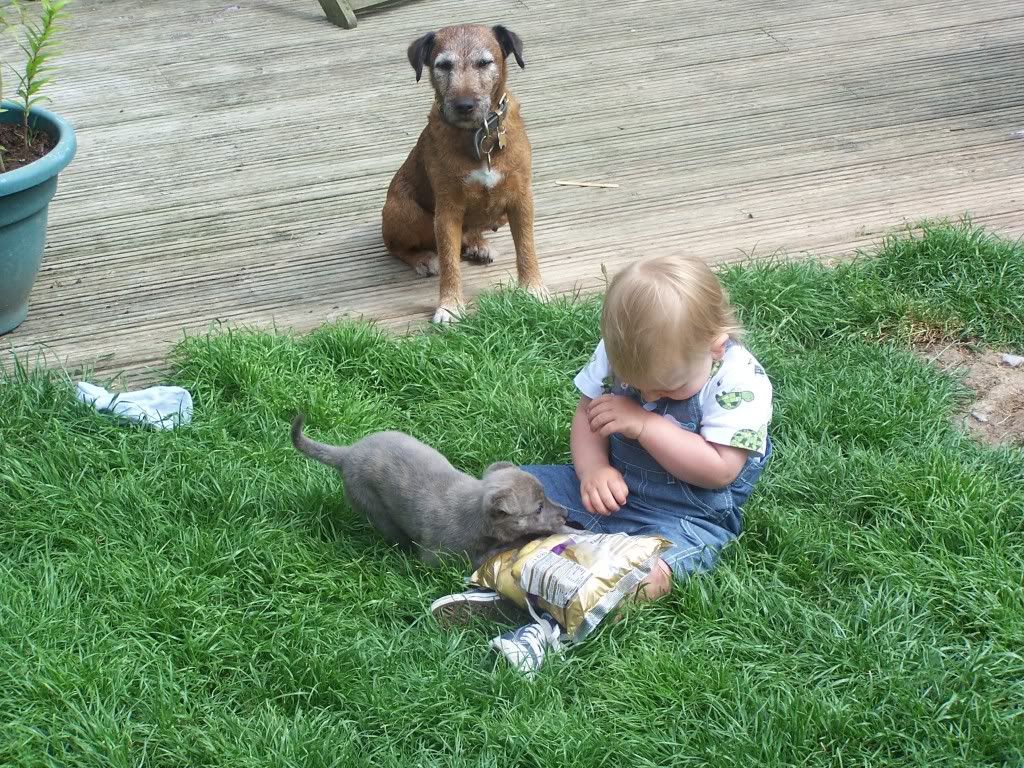 maystagandbaxter006.jpg