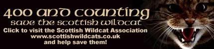 Click here to visit the Scottish Wildcat Association