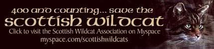 Click here to visit the Scottish Wildcat Association on Myspace