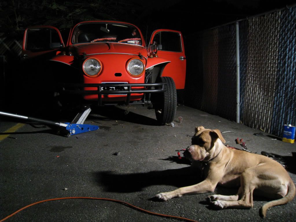 Image may have been reduced in size. Click image to view fullscreen.