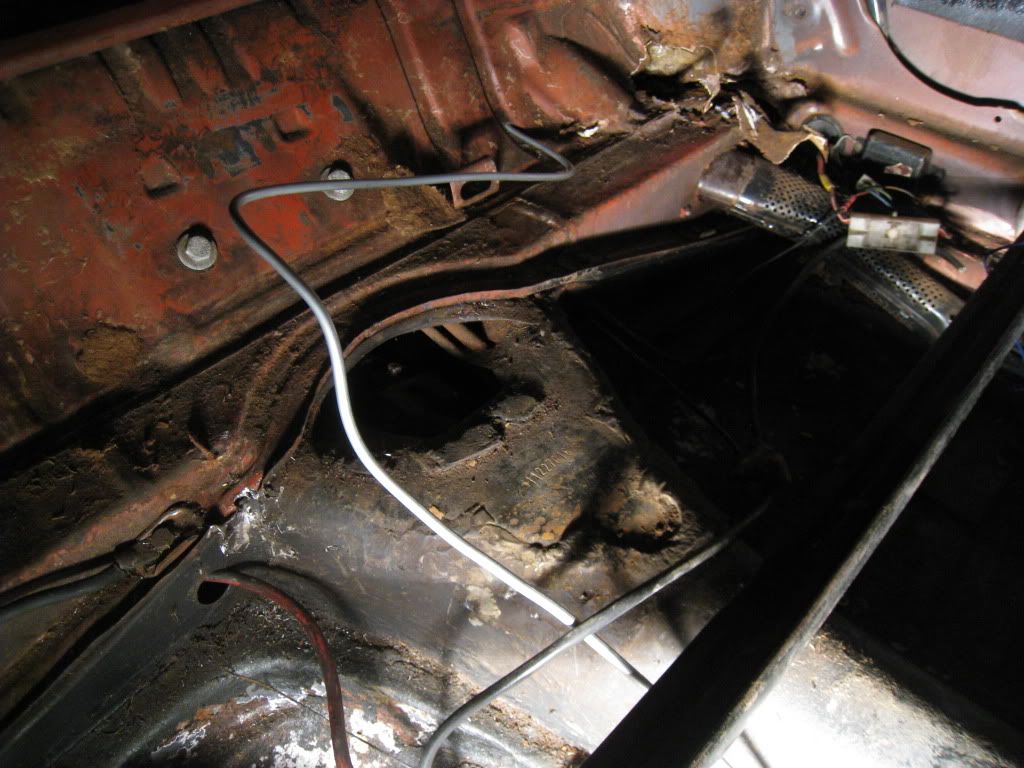 Image may have been reduced in size. Click image to view fullscreen.