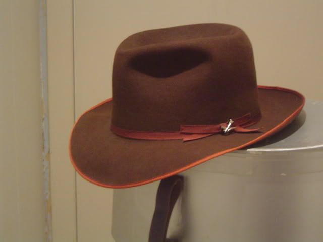 StetsonStratolinerwithTWApin5.jpg