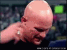 StoneColdWhat-135.gif