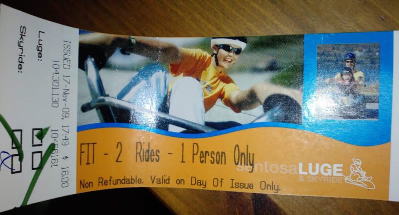 Ticket to Luge and Skyride