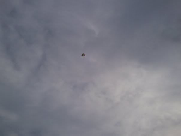 Sky with kite