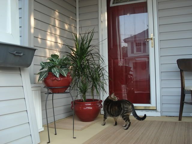 Photo Sharing and Video Hosting at Photobucket