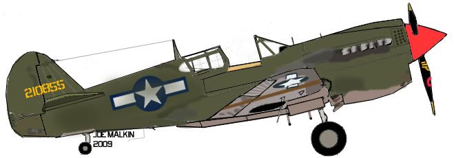 http://i152.photobucket.com/albums/s183/joethefuturepilot/CurtissP-40MKittyhawkMkIII43-5802.jpg