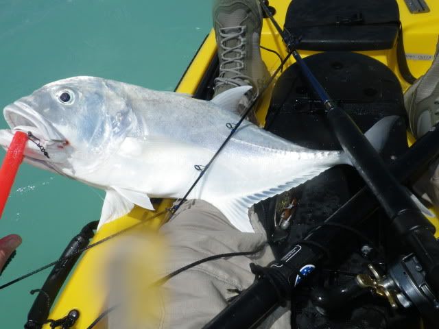 st croix ice rod blanks – Geeks Casual - Water Bottle Collections:Accessories pulling soft biting crappie Size:NK 4-D (2/5oz - 3 5/16
