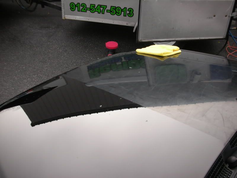 reflections374.jpg