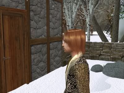 229.jpg