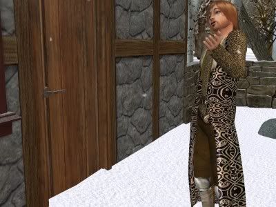 232.jpg
