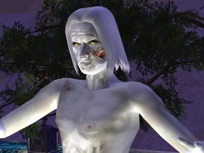 240.jpg