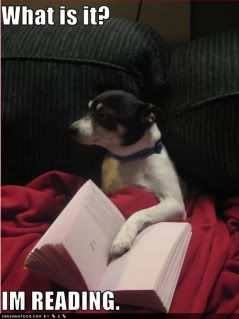 reading funny photo:  funny-dog-pictures-im-reading.jpg