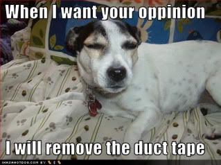 funny-dog-pictures-oppinion-tape-1.jpg