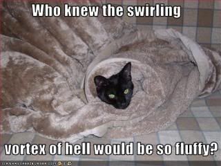 Basement cat photo:  funny-pictures-cat-is-in-vortex.jpg