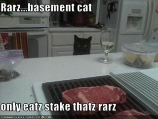basement cat photo:  steak.jpg