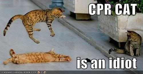 cpr cat
