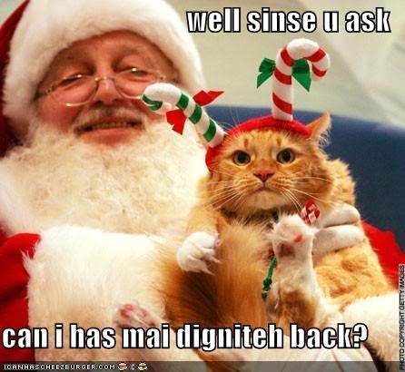 funny-pictures-cat-with-santa.jpg