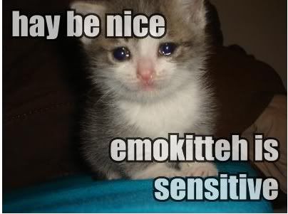 Forum Image: http://i152.photobucket.com/albums/s187/Sayuri_ferretgirl/cats/48.jpg