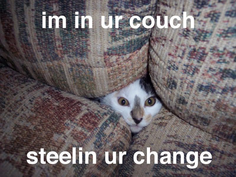 Fun_Cat_Couch.jpg