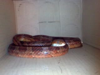 07032007112.jpg